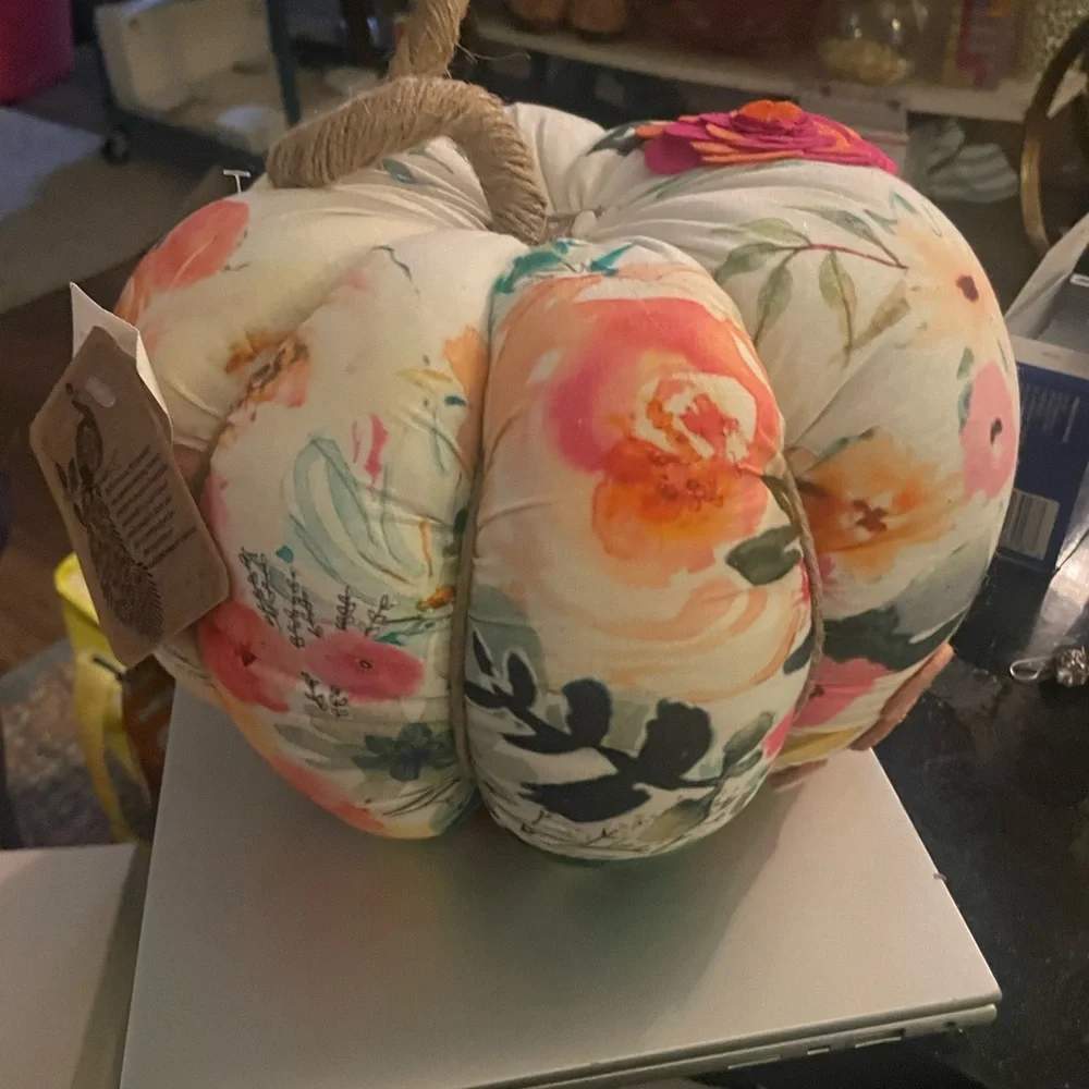 Really cute fabric pumpkin decor pillow accent - Picture 5 of 5